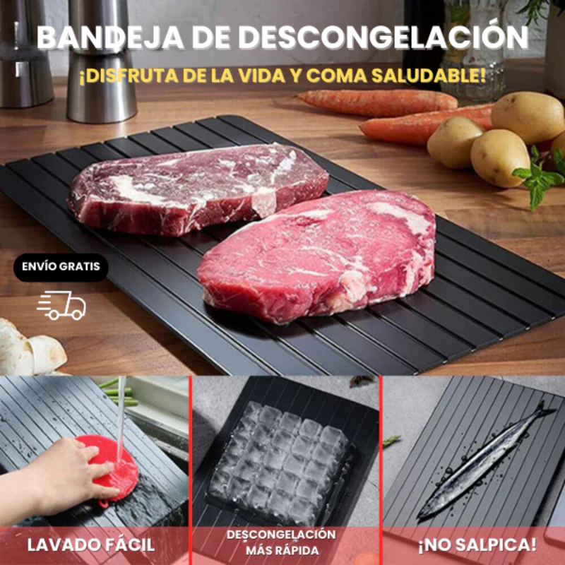 BANDEJA DE DESCONGELACIÓN RÁPIDA ®